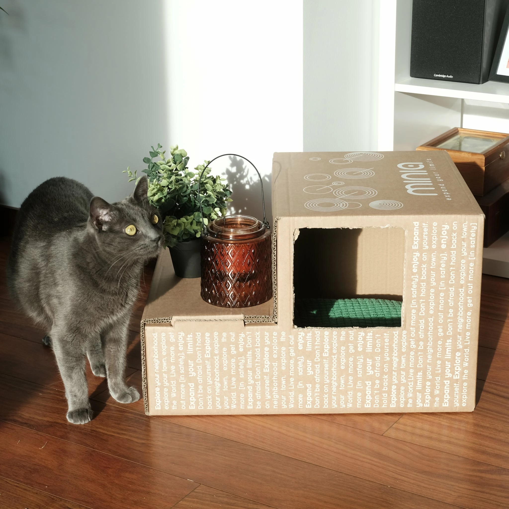 Siège Vélo Junior Porte-bagages Arrière Pliant Minia 6 Siège Vélo Junior Porte-bagages Arrière Pliant Minia – Image 6