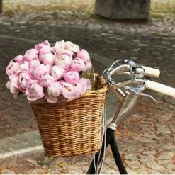 Grand Panier Sur Guidon De Vélo En Rotin Darcy L Basil -Promos VTT Boutique grand panier sur guidon de velo en rotin darcy l basil full 5