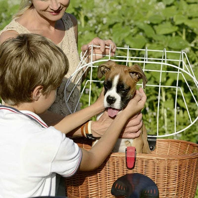 Kit Panier Vélo Chien Doggy Plus + Fixation GTA Klickfix 6 Kit Panier Vélo Chien Doggy Plus + Fixation GTA Klickfix – Image 6